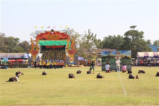 �������� 62.2_������_0330