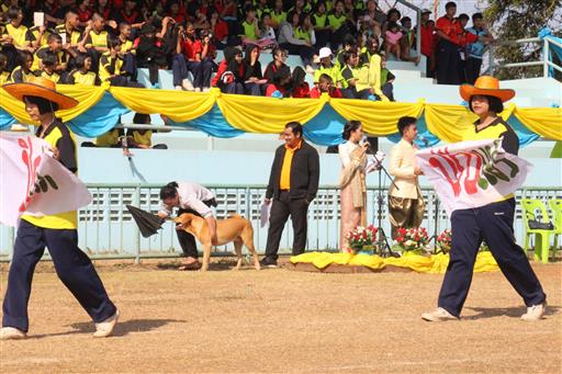 �������� 62.2_������_0558