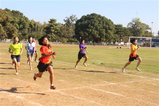 �������� 62.3_������_0245