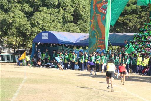 �������� 62.3_������_0260