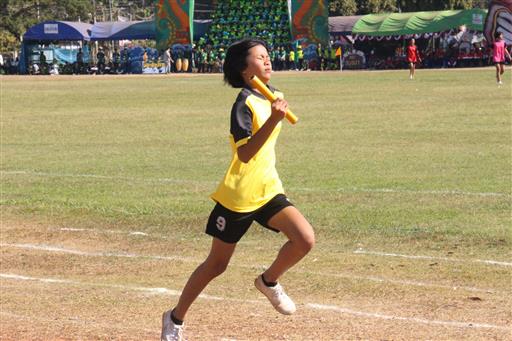 �������� 62.3_������_0318