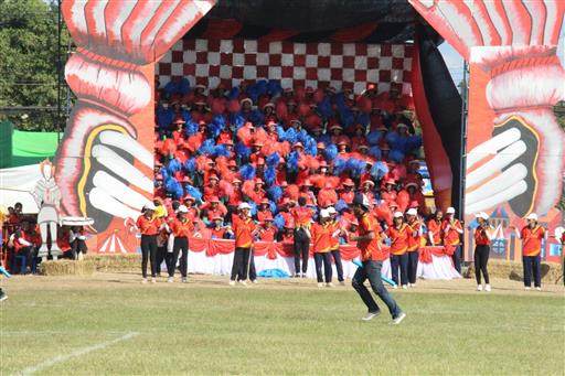 �������� 62.3_������_0590