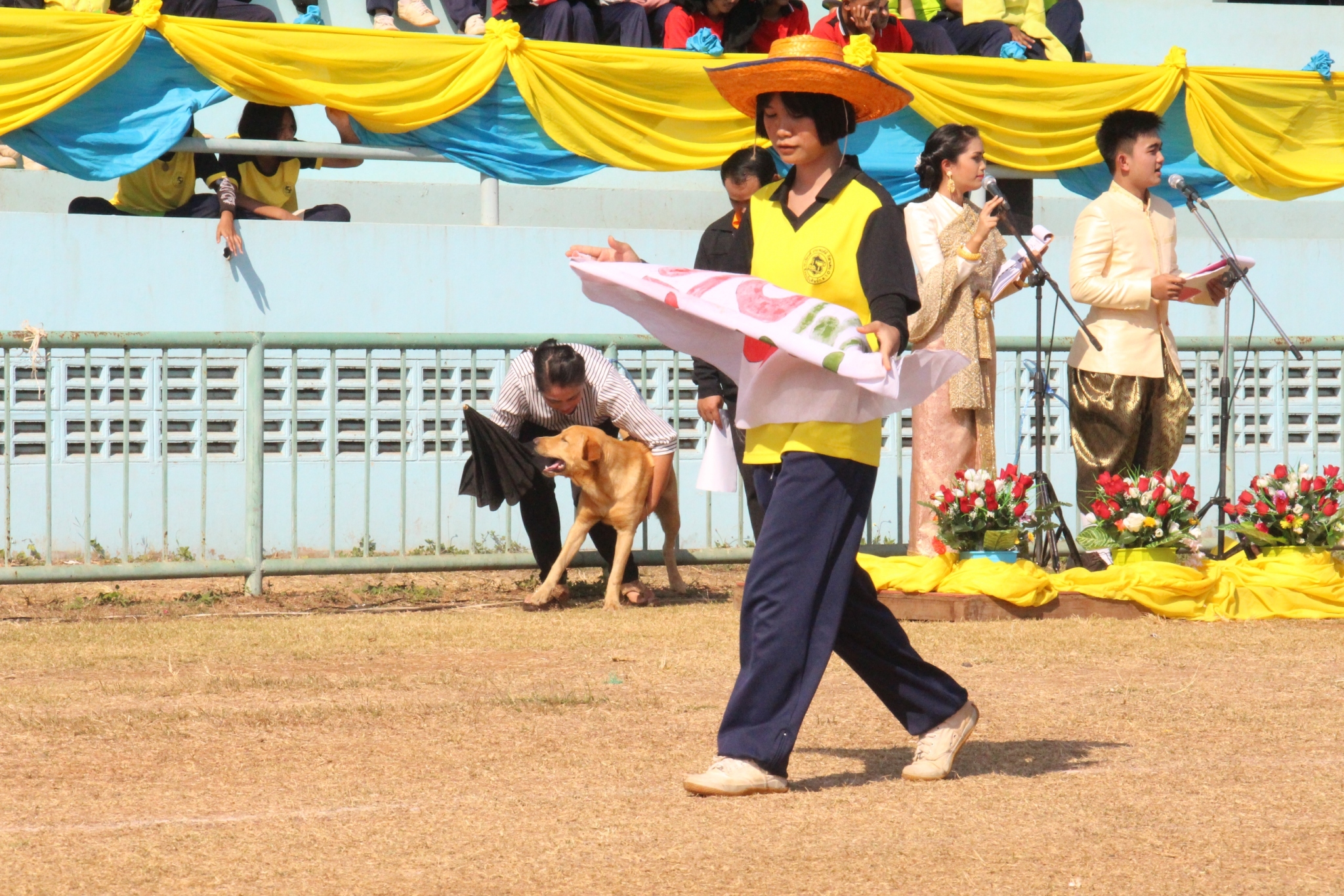 �������� 62.2_������_0559