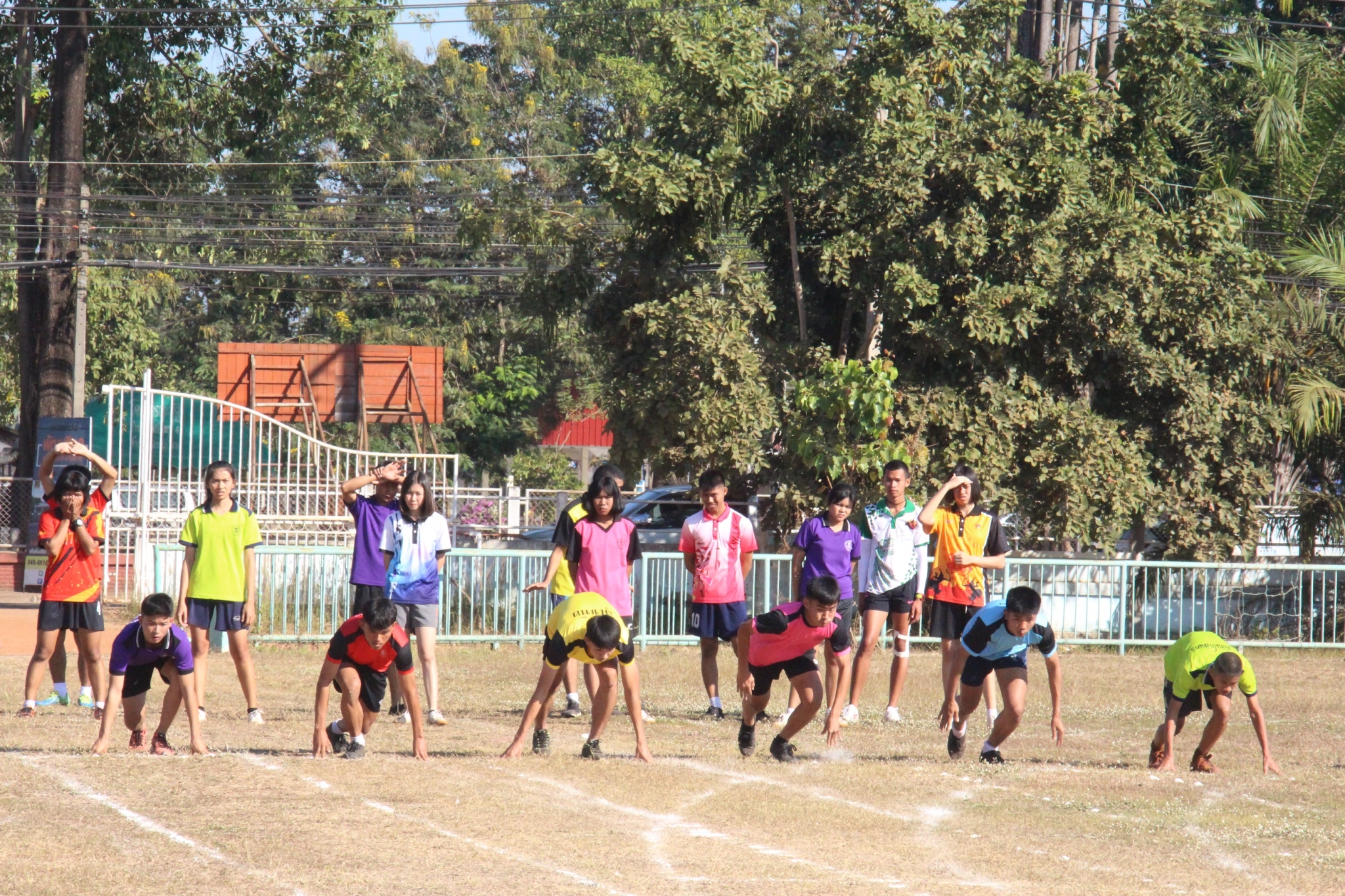 �������� 62.3_������_0240