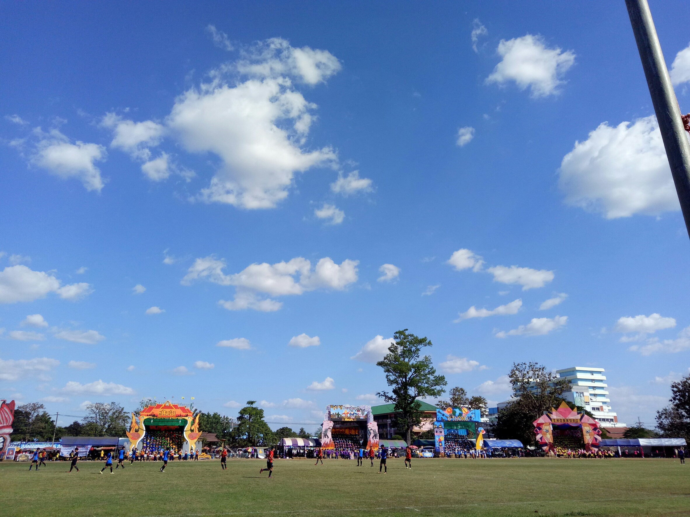 �������� 62.3_������_0895